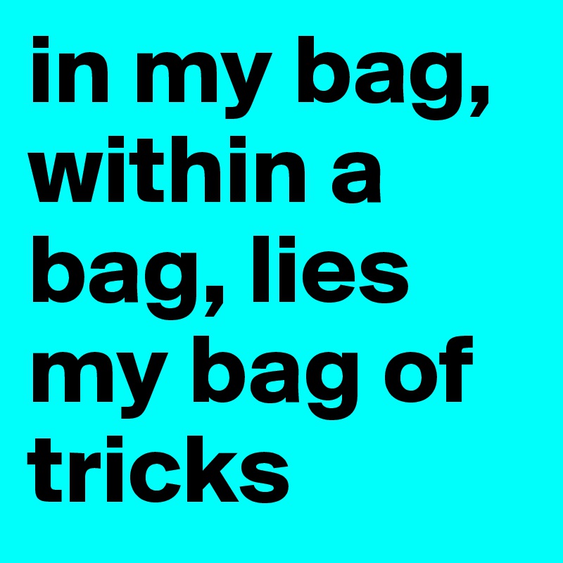 in my bag, within a bag, lies my bag of tricks