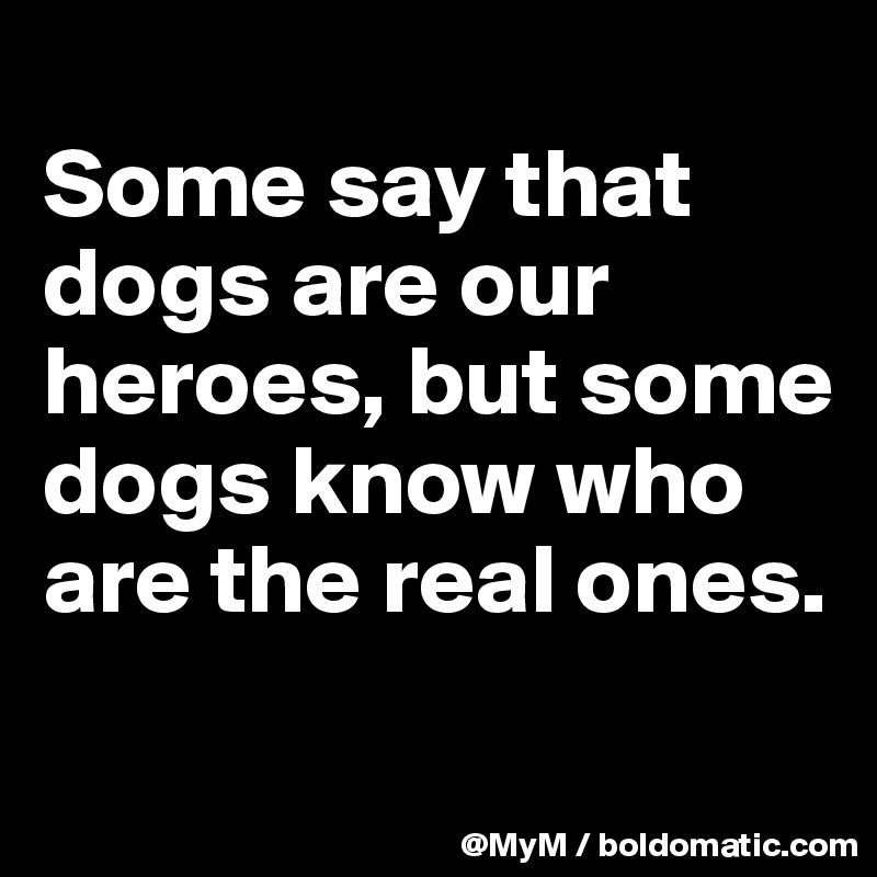 
Some say that dogs are our heroes, but some dogs know who are the real ones.
