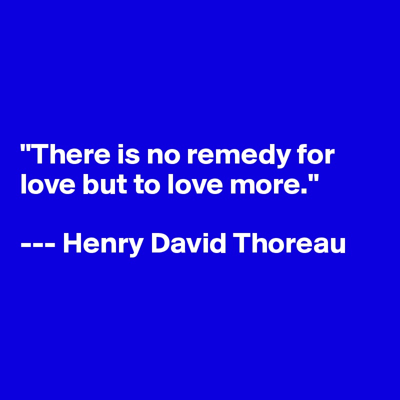 



"There is no remedy for love but to love more."

--- Henry David Thoreau




