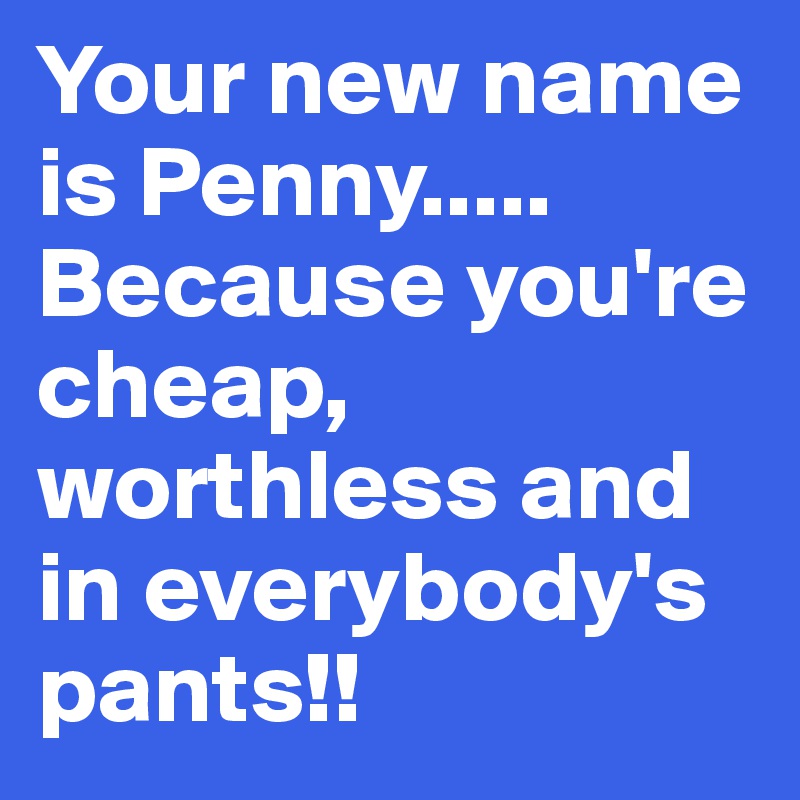 Your new name is Penny..... Because you're cheap, worthless and in everybody's pants!!