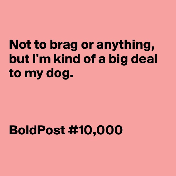 

Not to brag or anything, but I'm kind of a big deal to my dog.



BoldPost #10,000

