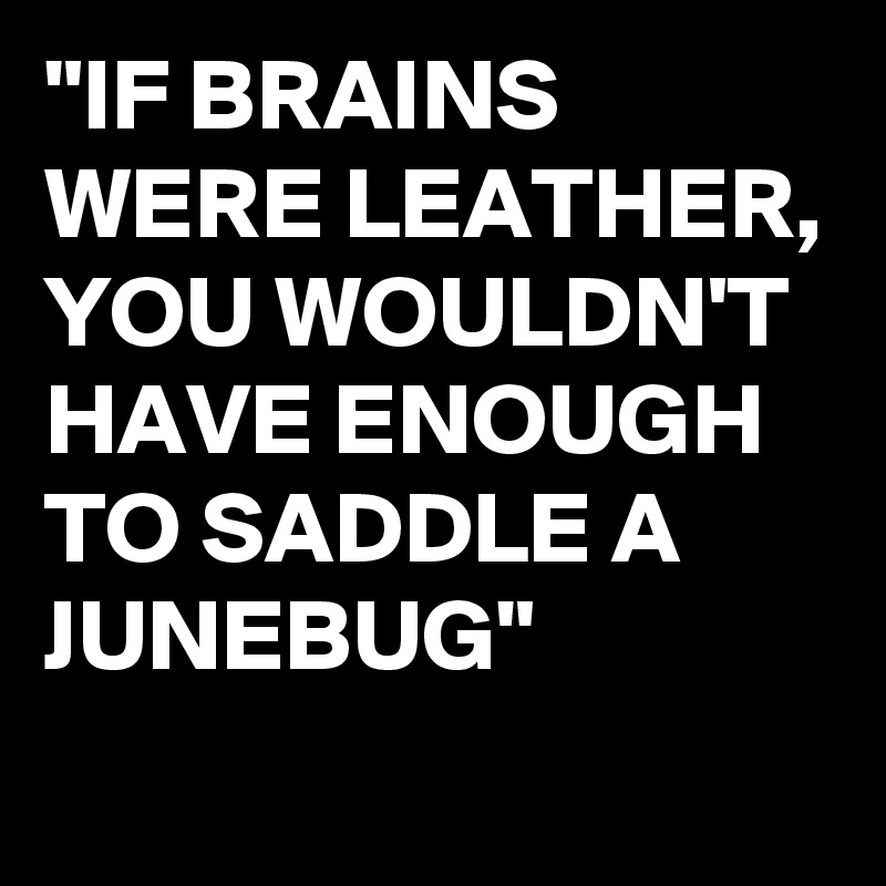 "IF BRAINS WERE LEATHER, YOU WOULDN'T HAVE ENOUGH TO SADDLE A JUNEBUG"
