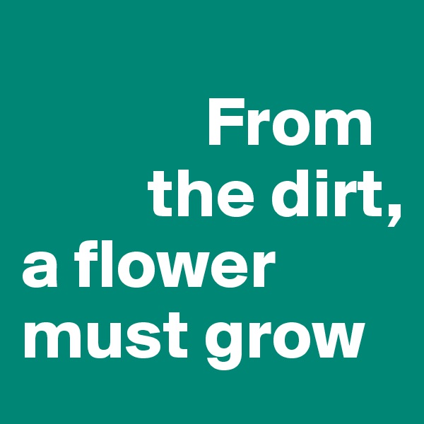 
             From 
         the dirt, a flower must grow