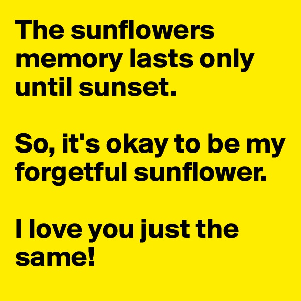 The sunflowers memory lasts only until sunset.

So, it's okay to be my forgetful sunflower. 

I love you just the same!