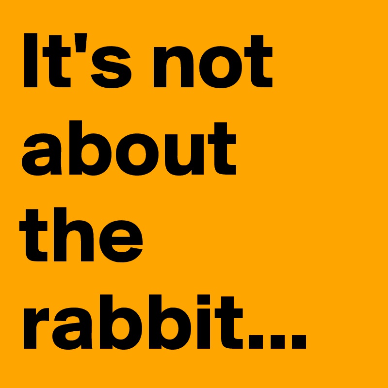 It's not about the rabbit...