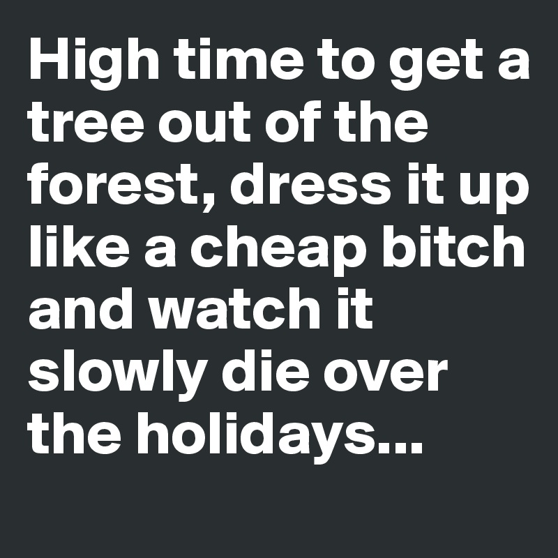 High time to get a tree out of the forest, dress it up like a cheap bitch and watch it
slowly die over the holidays...