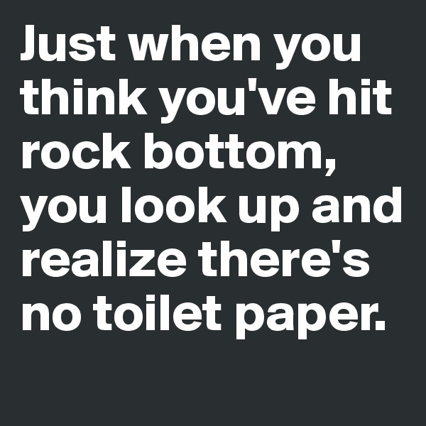 Just when you think you've hit rock bottom, you look up and realize there's no toilet paper.
