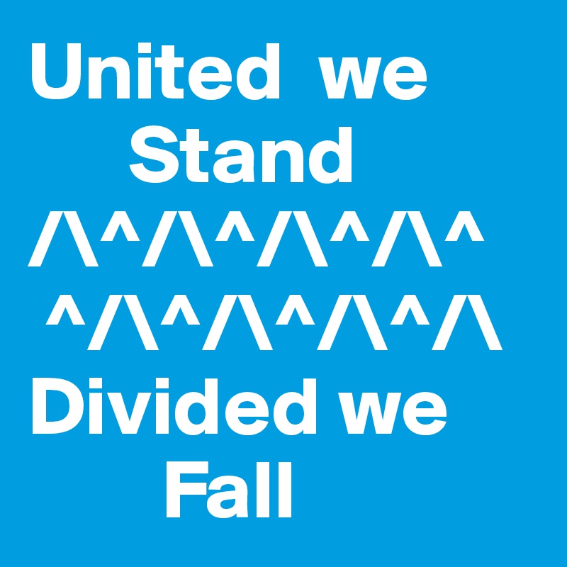 United  we   
      Stand
/\^/\^/\^/\^
 ^/\^/\^/\^/\
Divided we  
        Fall 