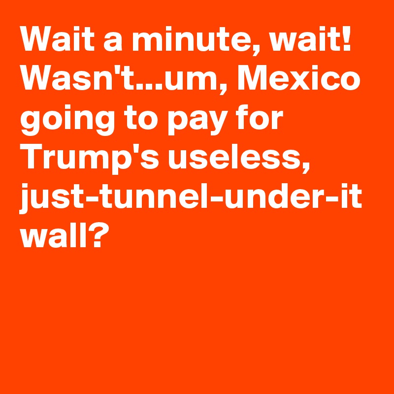 Wait a minute, wait! Wasn't...um, Mexico going to pay for Trump's useless, just-tunnel-under-it wall?