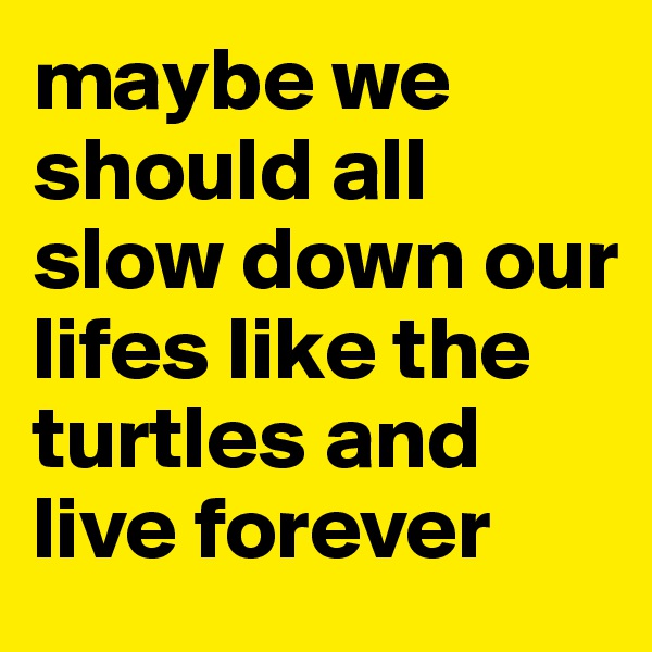 maybe we should all slow down our lifes like the turtles and live forever