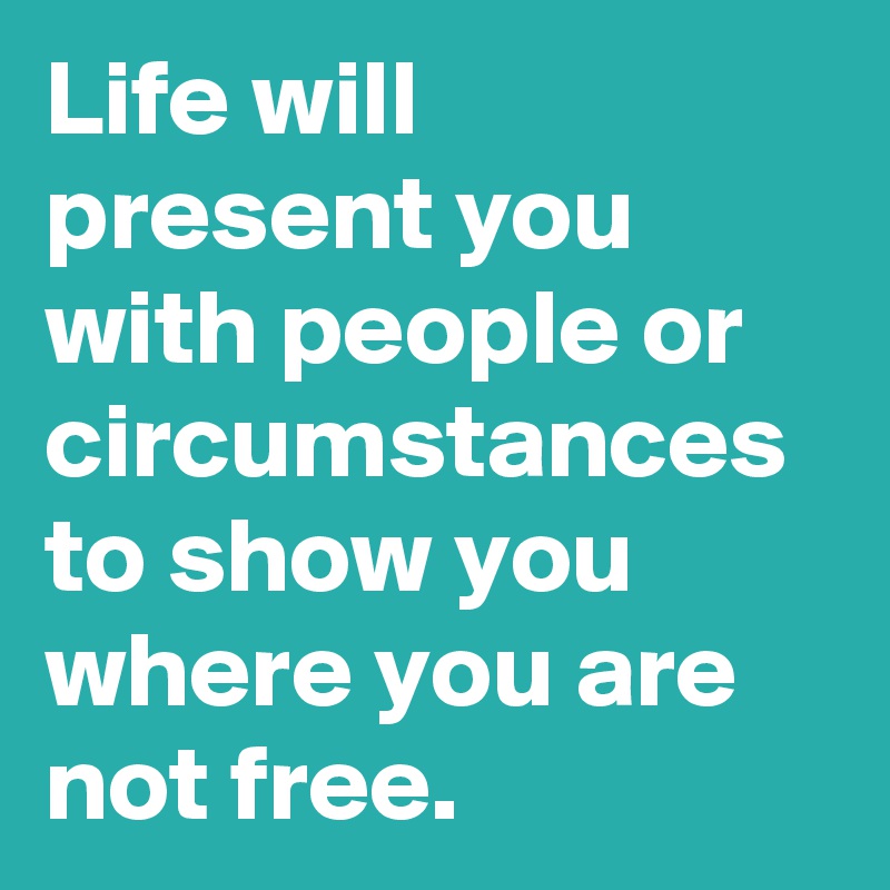 Life will present you with people or circumstances to show you where you are not free.