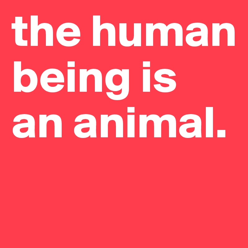 the human being is an animal.
