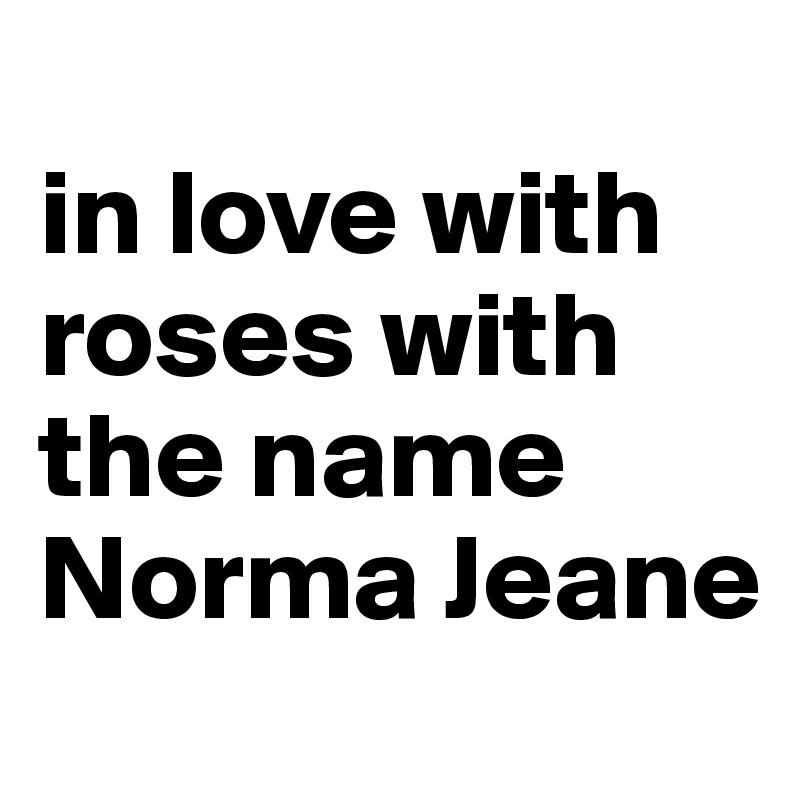 
in love with roses with the name Norma Jeane