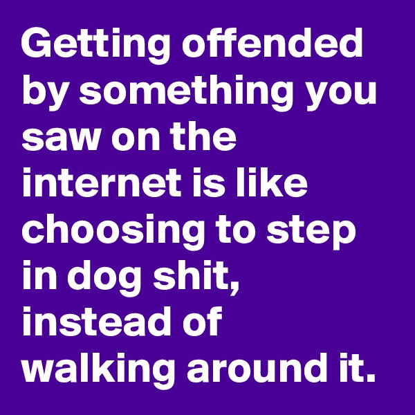 Getting offended by something you saw on the internet is like choosing to step in dog shit, instead of walking around it.