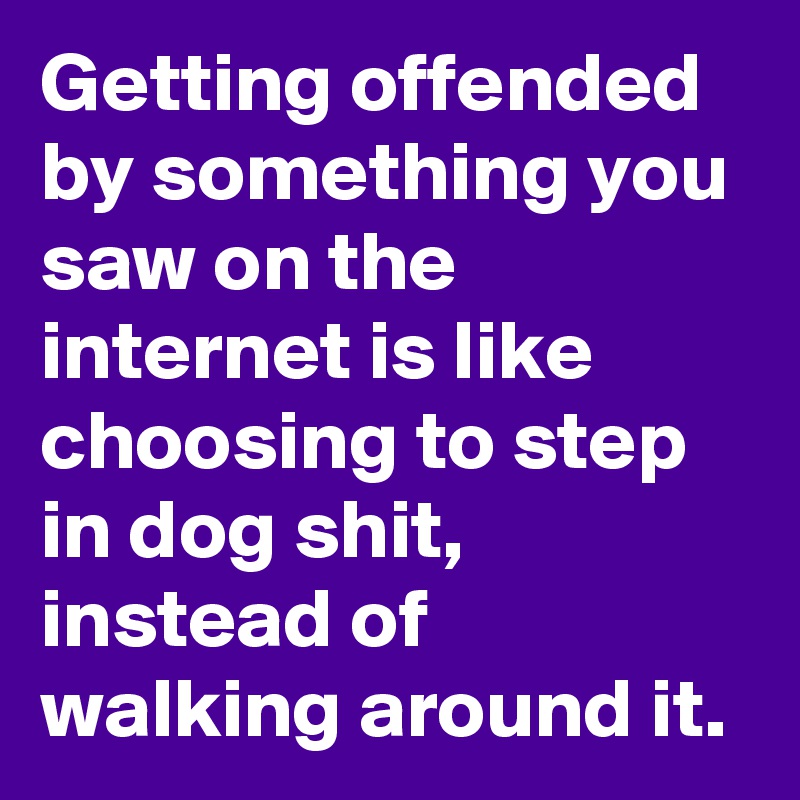 Getting offended by something you saw on the internet is like choosing to step in dog shit, instead of walking around it.