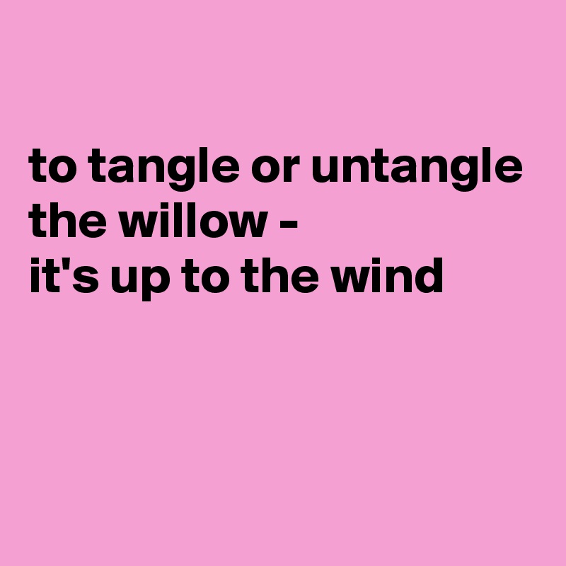 

to tangle or untangle
the willow -
it's up to the wind



