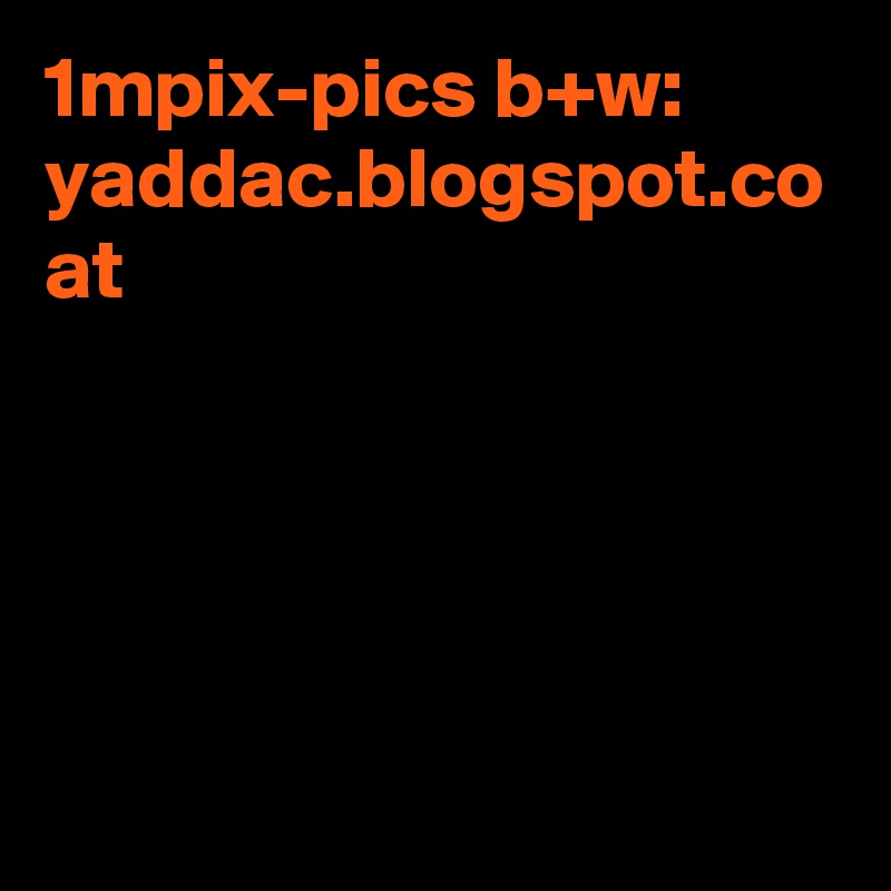 1mpix-pics b+w:
yaddac.blogspot.co at