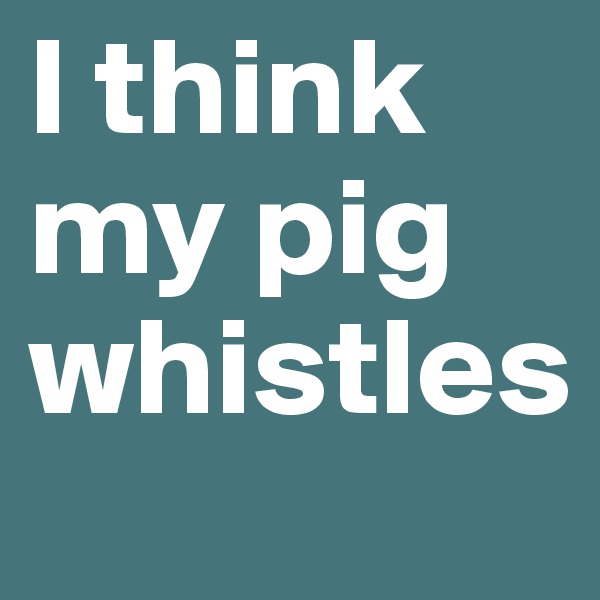 I think my pig whistles