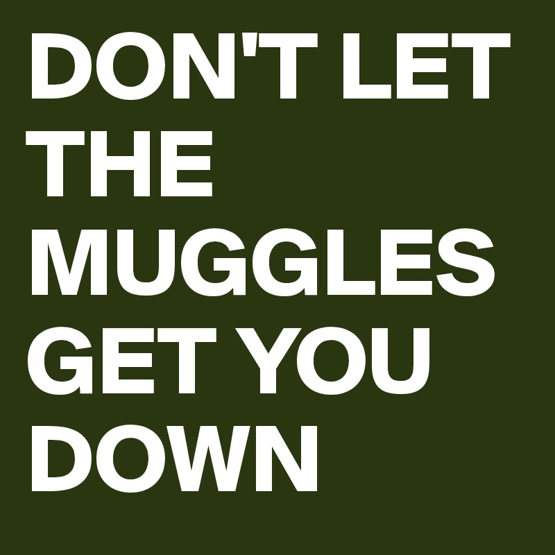DON'T LET THE MUGGLES GET YOU DOWN