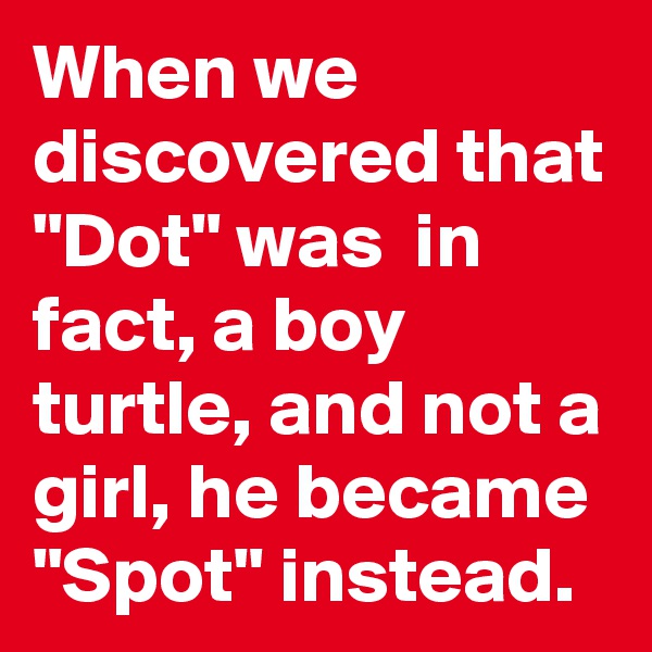When we discovered that "Dot" was  in fact, a boy turtle, and not a girl, he became "Spot" instead.