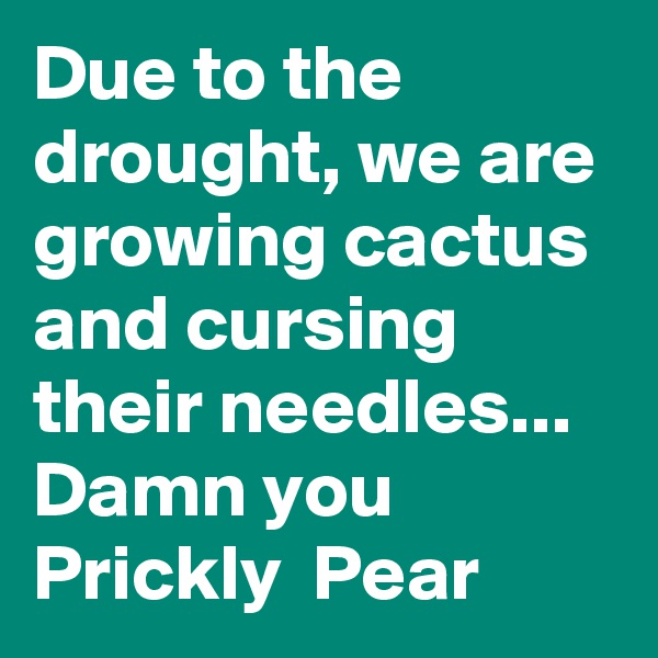Due to the drought, we are growing cactus and cursing their needles...
Damn you Prickly  Pear