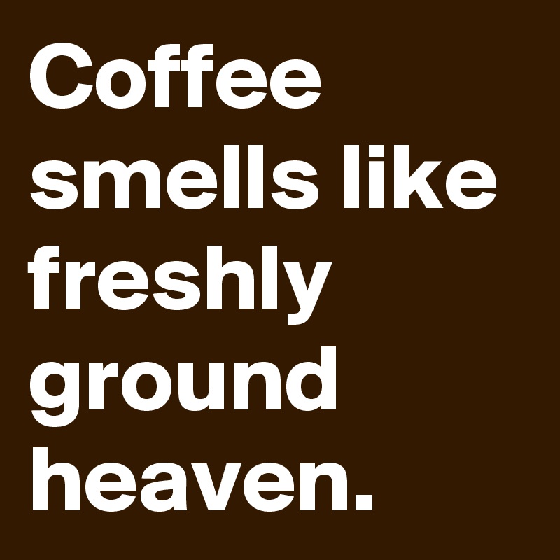 Coffee smells like freshly ground heaven.
