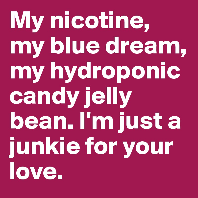 My nicotine, my blue dream, my hydroponic candy jelly bean. I'm just a junkie for your love.