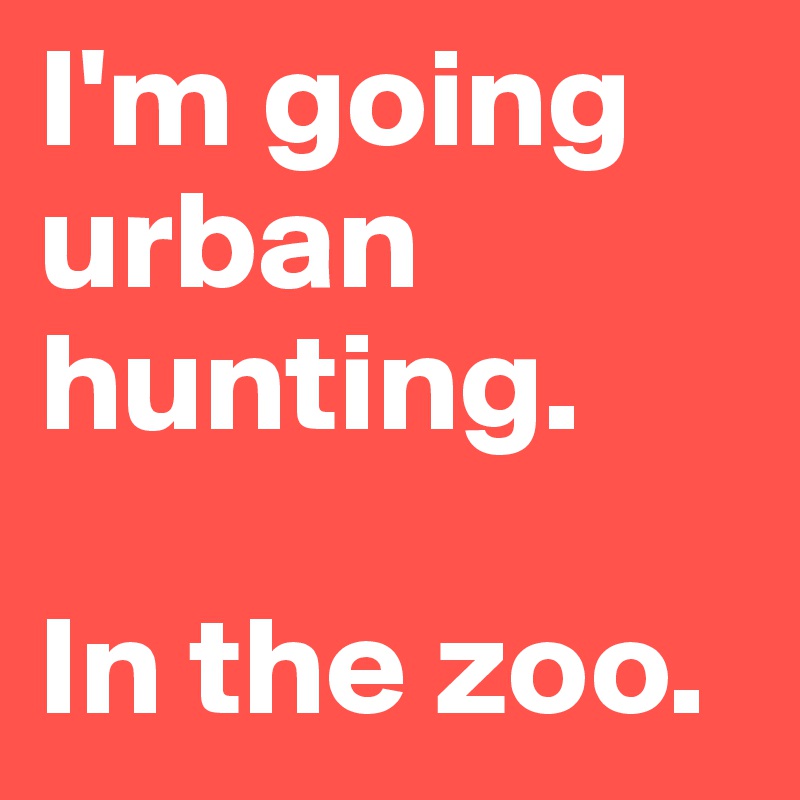 I'm going urban hunting.

In the zoo. 