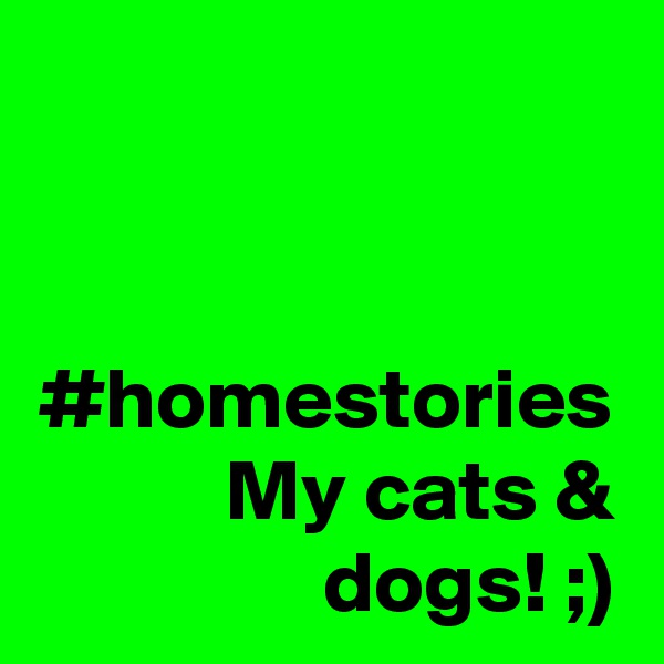 #homestories
My cats & dogs! ;)