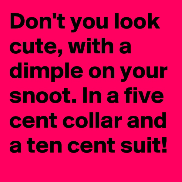 Don't you look cute, with a dimple on your snoot. In a five cent collar and a ten cent suit!