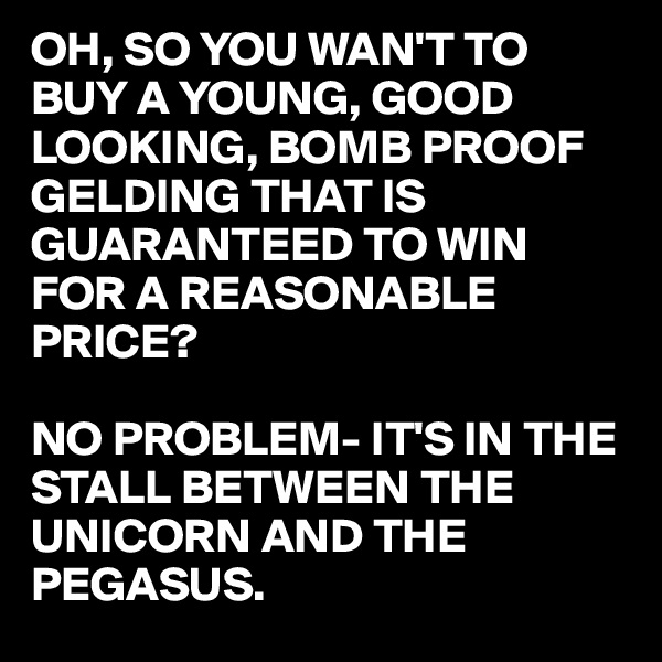 OH, SO YOU WAN'T TO BUY A YOUNG, GOOD LOOKING, BOMB PROOF  GELDING THAT IS GUARANTEED TO WIN FOR A REASONABLE PRICE?

NO PROBLEM- IT'S IN THE STALL BETWEEN THE UNICORN AND THE PEGASUS.