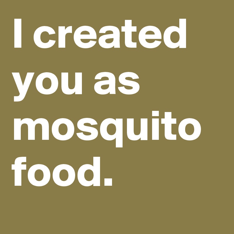 I created you as mosquito food.