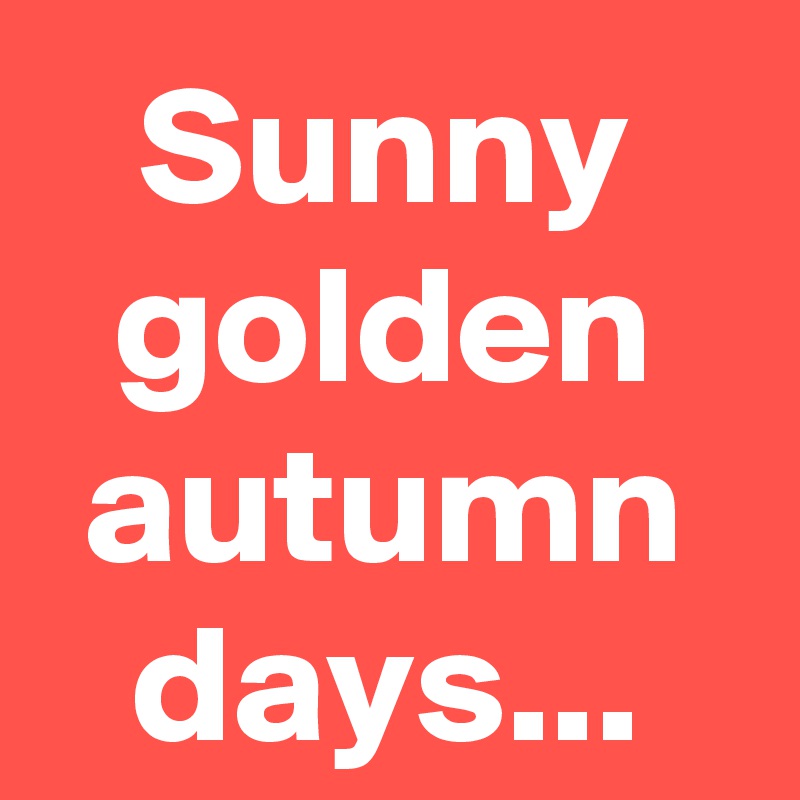 Sunny golden autumn days...