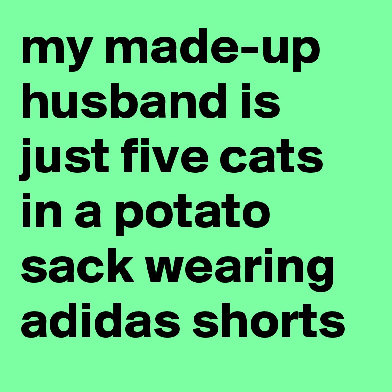 my made-up husband is just five cats in a potato sack wearing adidas shorts
