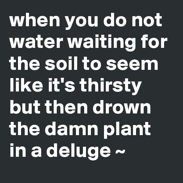 when you do not water waiting for the soil to seem like it's thirsty but then drown the damn plant in a deluge ~