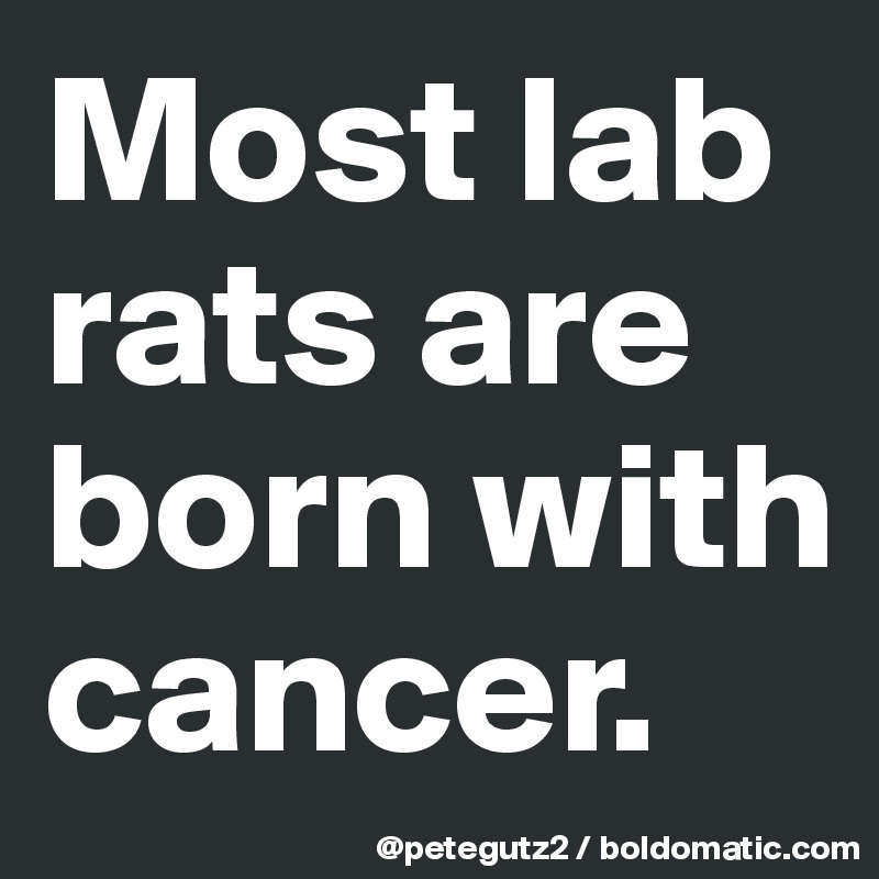 Most lab rats are born with cancer.