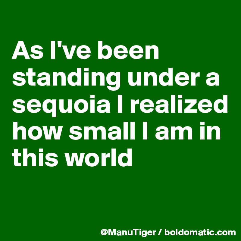 
As I've been standing under a sequoia I realized how small I am in this world 
