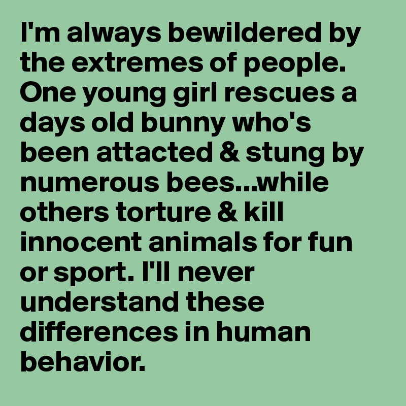 I'm always bewildered by the extremes of people. One young girl rescues a days old bunny who's been attacted & stung by numerous bees...while others torture & kill innocent animals for fun or sport. I'll never understand these differences in human behavior.