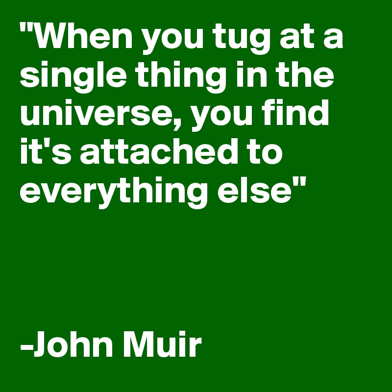"When you tug at a single thing in the universe, you find it's attached to everything else"



-John Muir