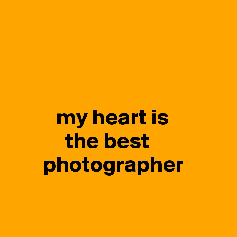 



          my heart is
            the best
       photographer


