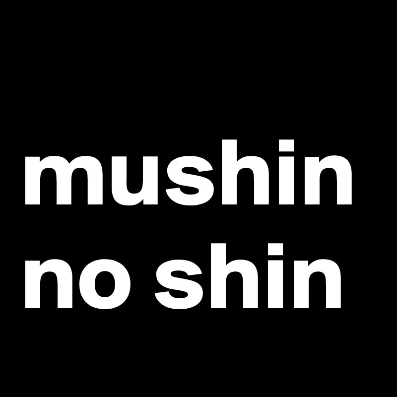 
mushin no shin