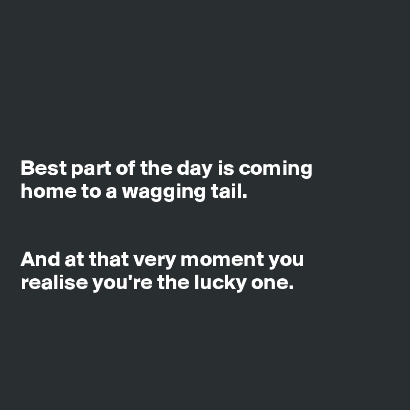 





Best part of the day is coming
home to a wagging tail.


And at that very moment you
realise you're the lucky one.



