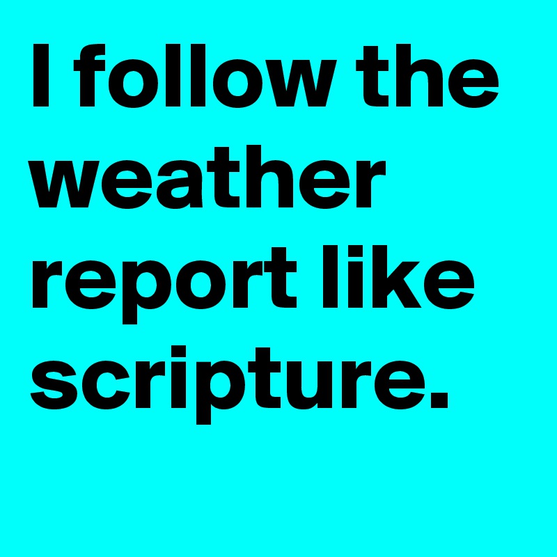 I follow the weather report like scripture.