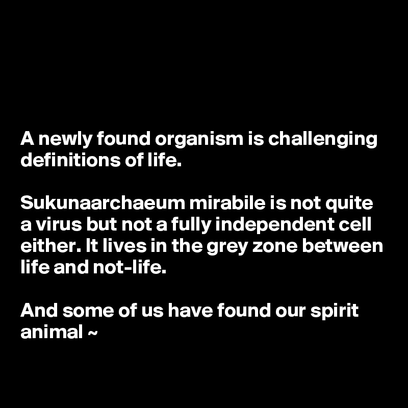 




A newly found organism is challenging definitions of life.

Sukunaarchaeum mirabile is not quite a virus but not a fully independent cell either. It lives in the grey zone between life and not-life.

And some of us have found our spirit animal ~

