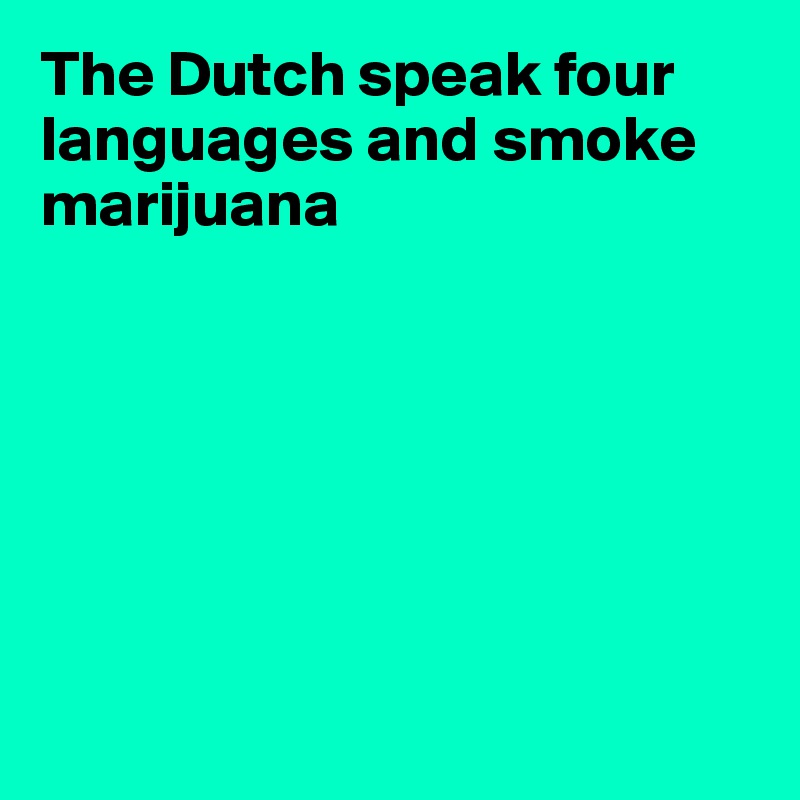 The Dutch speak four languages and smoke marijuana







