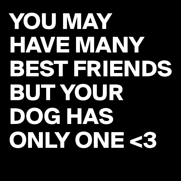 YOU MAY HAVE MANY BEST FRIENDS BUT YOUR DOG HAS ONLY ONE <3