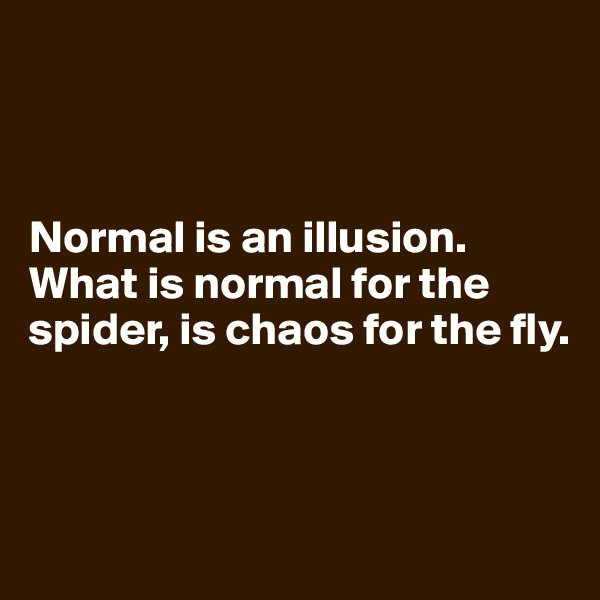 



Normal is an illusion.
What is normal for the spider, is chaos for the fly.



