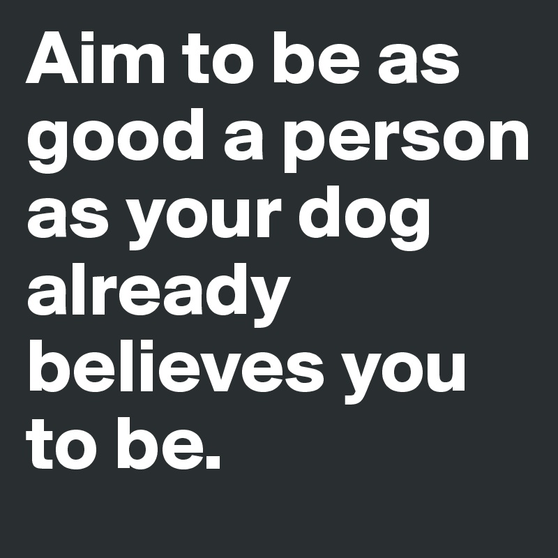 Aim to be as good a person as your dog already believes you to be. 