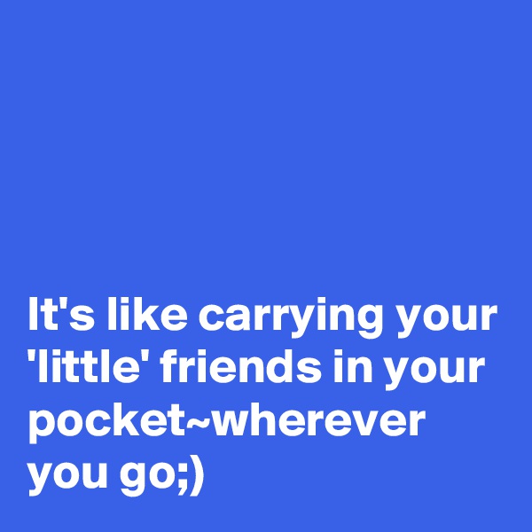 




It's like carrying your 'little' friends in your pocket~wherever you go;)