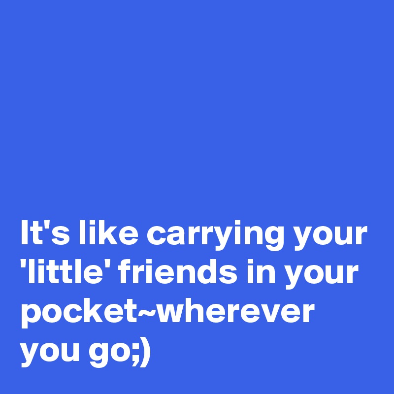 




It's like carrying your 'little' friends in your pocket~wherever you go;)